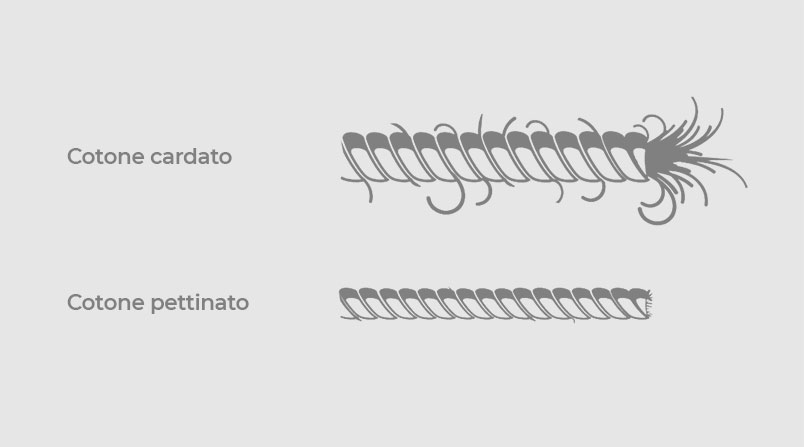 cotone cardato vs cotone pettinato