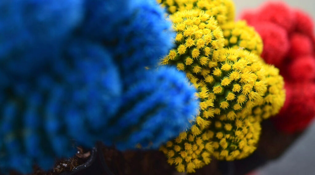 colori primari:rosso, giallo e blu