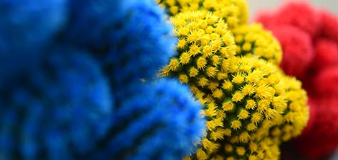 colori primari:rosso, giallo e blu