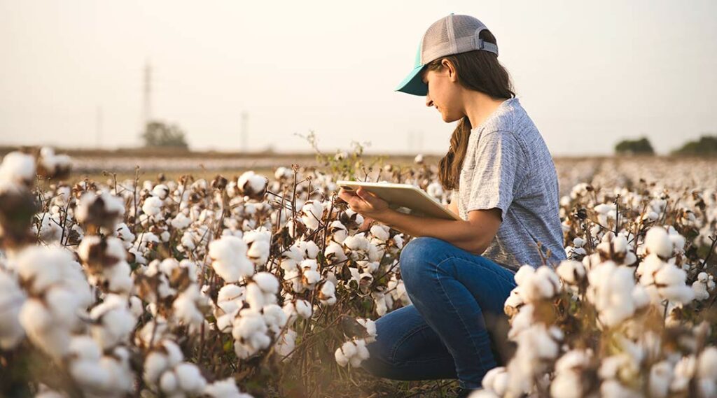 Ragazza in campo di cotone