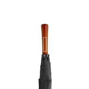 Posizione di stampa ombrello manico con laser (fino a 2cm2)