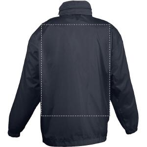 Back
