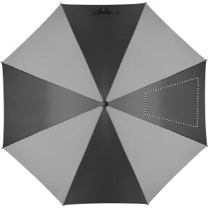 Segment 4