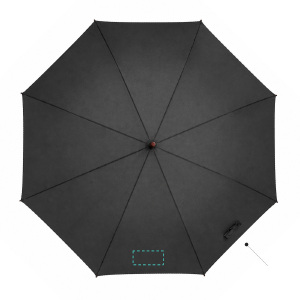 1° pannello