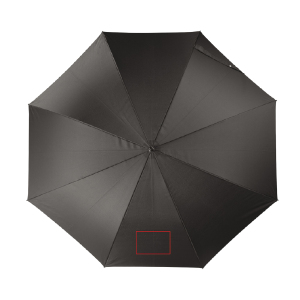 1° pannello