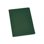 Quadernini ecologici A5 carta riciclata a righe Journal Color color verde
