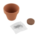 Vasetto terracotta pubblicitario con terriccio e semi basilico Basil color marrone prima vista