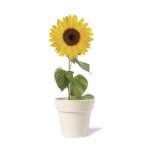 Vasetto biodegradabile personalizzato con semi di Girasole SunFlower color naturale quarta vista