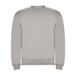 Felpa classica unisex in cotone e poliestere da 280 g/m² Roly color grigio