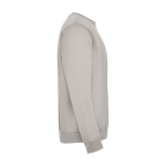 Felpa classica unisex in cotone e poliestere da 280 g/m² Roly color grigio seconda vista con laterale