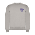 Felpa classica unisex in cotone e poliestere da 280 g/m² Roly color grigio vista con stampa serigrafica