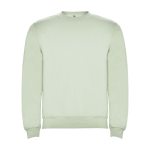 Felpa classica unisex in cotone e poliestere da 280 g/m² Roly color verde tenue