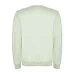 Felpa classica unisex in cotone e poliestere da 280 g/m² Roly color verde tenue seconda vista posteriore