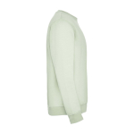 Felpa classica unisex in cotone e poliestere da 280 g/m² Roly color verde tenue terza vista posteriore