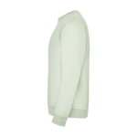 Felpa classica unisex in cotone e poliestere da 280 g/m² Roly color verde tenue vista laterale