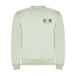 Felpa classica unisex in cotone e poliestere da 280 g/m² Roly color verde tenue vista con stampa serigrafica