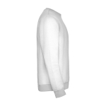 Felpa classica unisex in cotone e poliestere da 280 g/m² Roly color grigio chiaro seconda vista con laterale