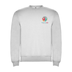 Felpa classica unisex in cotone e poliestere da 280 g/m² Roly color grigio chiaro vista con stampa serigrafica