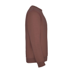 Felpa classica unisex in cotone e poliestere da 280 g/m² Roly color tortora seconda vista con laterale