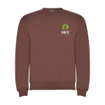 Felpa classica unisex in cotone e poliestere da 280 g/m² Roly color tortora vista con stampa serigrafica