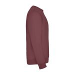 Felpa classica unisex in cotone e poliestere da 280 g/m² Roly color rosso jeansato seconda vista con laterale