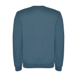 Felpa classica unisex in cotone e poliestere da 280 g/m² Roly color azzurro pastello seconda vista posteriore