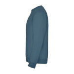 Felpa classica unisex in cotone e poliestere da 280 g/m² Roly color azzurro pastello vista laterale