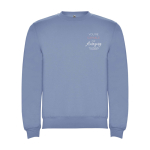 Felpa classica unisex in cotone e poliestere da 280 g/m² Roly color blu grigiastro vista con stampa serigrafica