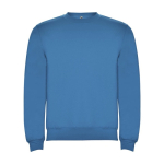 Felpa classica da bambino in cotone e poliestere da 280 g/m² Roly color blu
