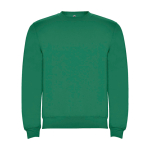 Felpa classica da bambino in cotone e poliestere da 280 g/m² Roly color verde