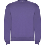 Felpa classica da bambino in cotone e poliestere da 280 g/m² Roly color viola