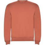 Felpa classica da bambino in cotone e poliestere da 280 g/m² Roly color arancione pastello