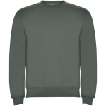 Felpa classica da bambino in cotone e poliestere da 280 g/m² Roly color verde oliva