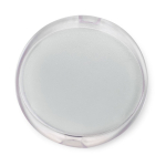 Custodia in plastica per sapone in fogli solubili in acqua color bianco