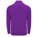 Felpa sportiva con zip a 1/4 in poliestere da 200 g/m² Roly color lilla seconda vista posteriore