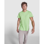 T-shirt a manica corta in cotone 165 g/m2 Roly Direct Dogo Premium color verde chiaro  prima vista d'uso