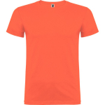 T-shirt in cotone a maglia liscia 155 g/m2 Roly Direct Beagle color turchese prima vista d'uso
