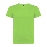 T-shirt in cotone a maglia liscia 155 g/m2 Roly Direct Beagle color verde chiaro  seconda vista
