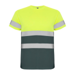 Maglietta tecnica da lavoro alta visibilità 130 g/m2 Roly Delta color grigio topo seconda vista