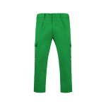 Pantaloni da lavoro in poliestere e cotone 240 g/m2 Roly Daily color verde erba seconda vista