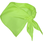 Bandana triangolare personalizzata in morbido poliestere 170T color verde seconda vista