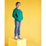 Felpa in cotone e poliestere 280 g/m2 Roly Direct Urban color verde seconda vista d'uso