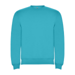 Maglione in cotone e poliestere 280 g/m2 Roly Direct Clasica color turchese seconda vista