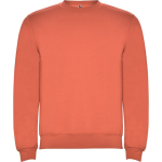 Maglione in cotone e poliestere con polsini 280g/m2 Roly Direct Clasica color turchese prima vista d'uso