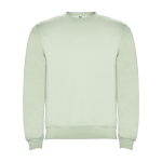 Maglione in cotone e poliestere 280 g/m2 Roly Direct Clasica color verde tenue seconda vista