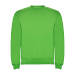 Maglione in cotone e poliestere 280 g/m2 Roly Direct Clasica color verde chiaro  seconda vista