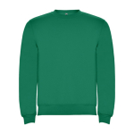 Maglione in cotone e poliestere 280 g/m2 Roly Direct Clasica color verde smeraldo seconda vista