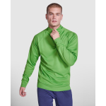 Felpa in poliestere con mezza zip 200 g/m2 Roly Direct Epiro color verde prima vista d'uso