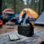 Radio d’emergenza in plastica ABS con torcia e allarme Philips color nero settima vista