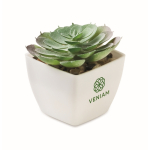 Pianta artificiale mini in PP a forma di succulenta echeveria color bianco vista principale